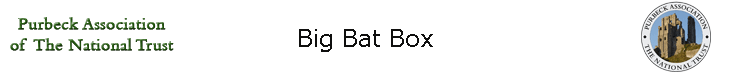Big Bat Box