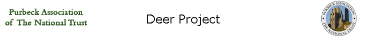 Deer Project